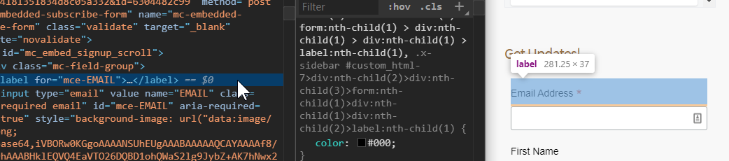Same Form Different Coloured Font Support Themeco Forum